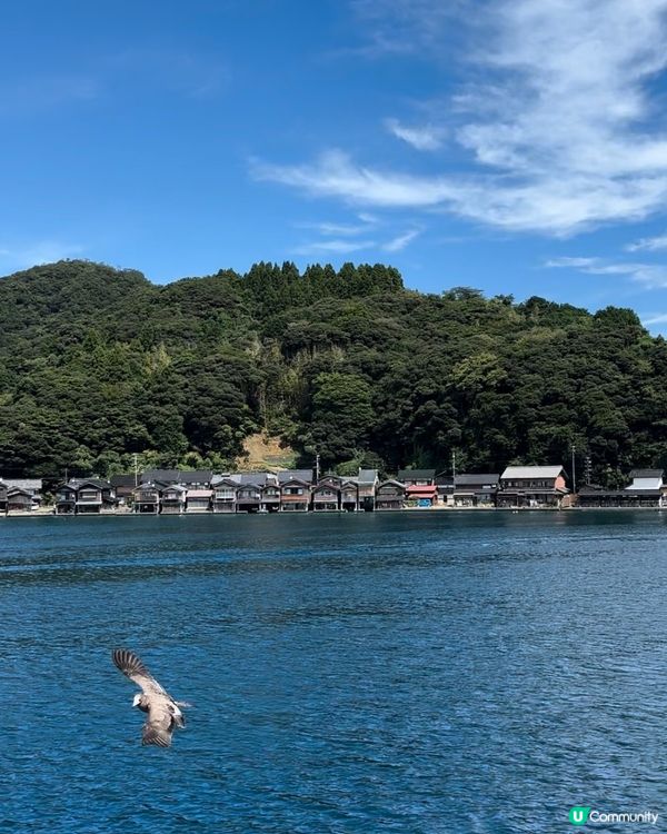 人生必要試一次，俾海鷗呃蝦條🤣