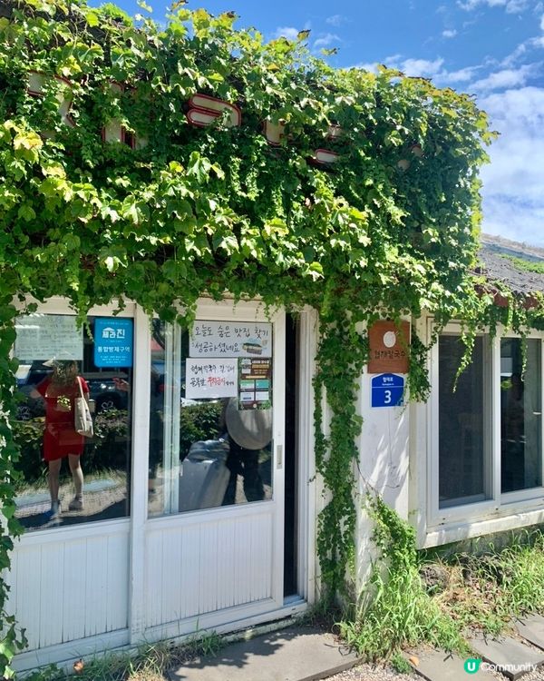 🇰🇷韓國濟州島海鮮章魚刀削麵