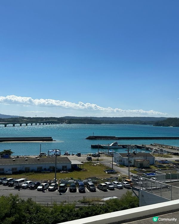古宇利島之古宇利🍤🍤飯
