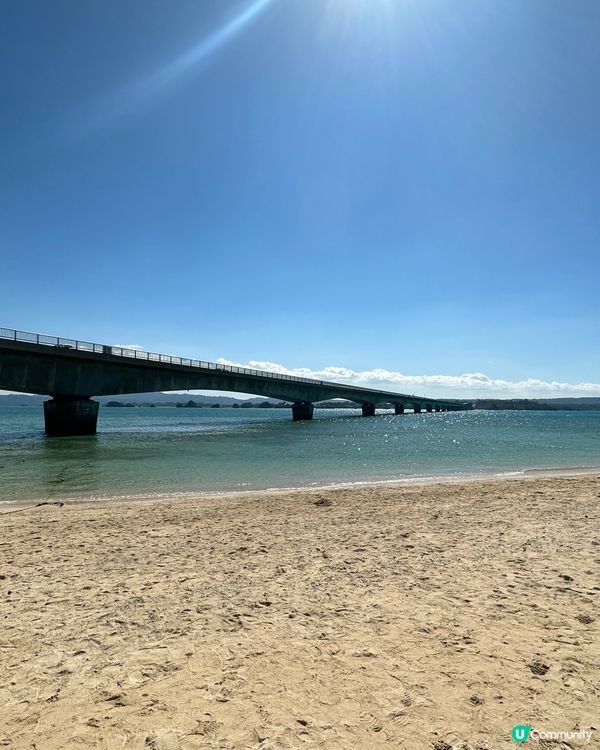 古宇利島之古宇利🍤🍤飯