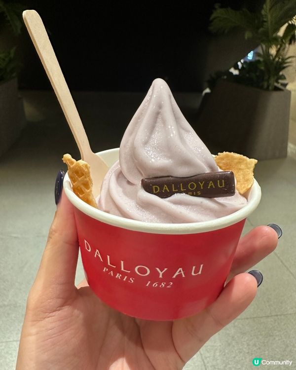 Dalloyau 芋頭雪糕