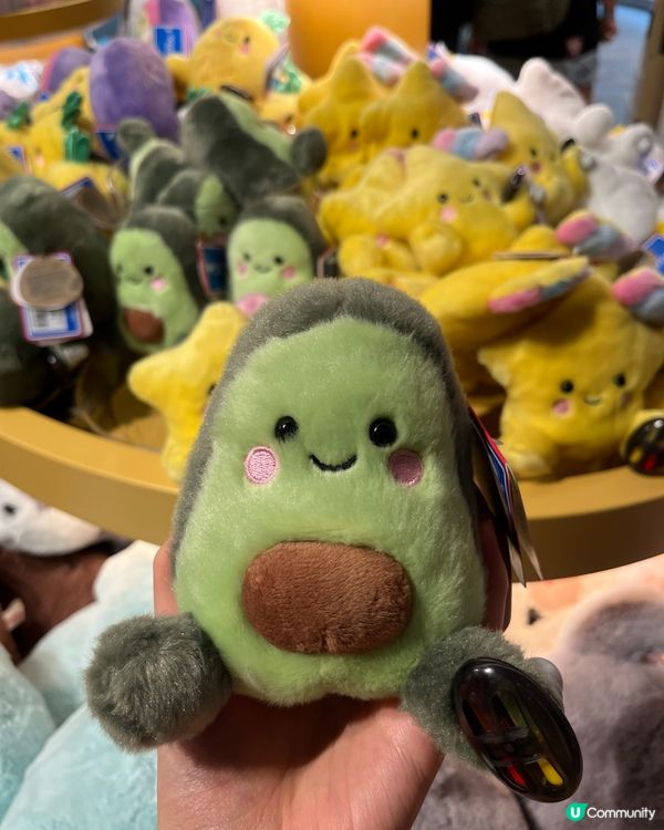 無懼紅雨定黃雨 我地都要去上水樂園玩🥳