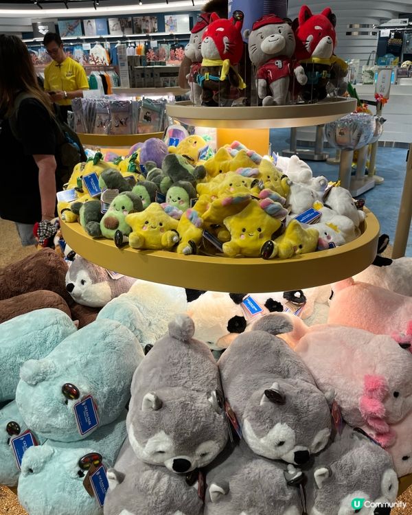 無懼紅雨定黃雨 我地都要去上水樂園玩🥳