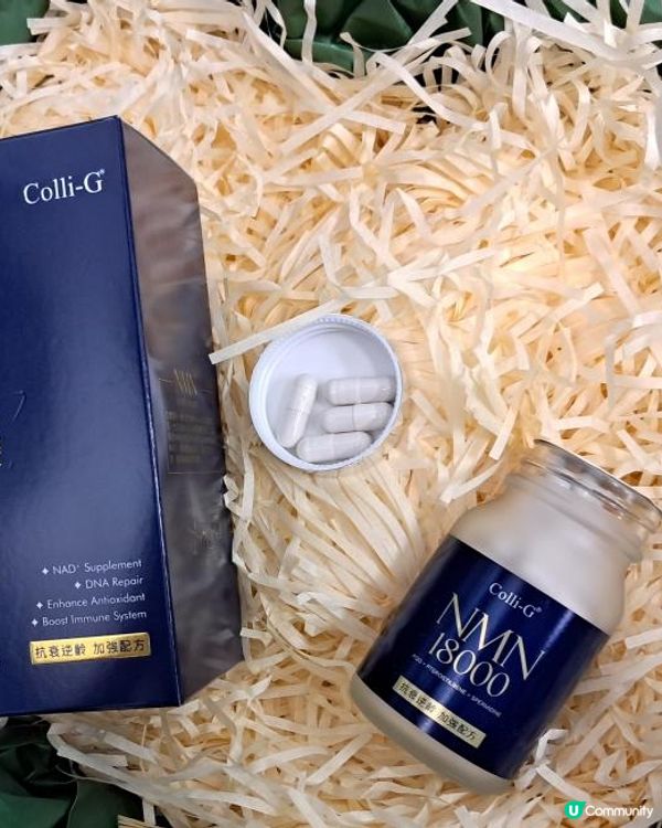 【補充每日所需NAD＋】