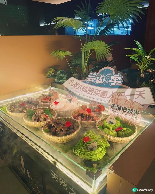 【深圳必吃雲南火鍋推介】