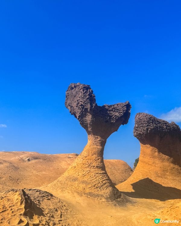 野柳女王頭👑  打卡必去！