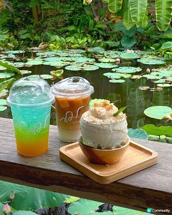 🇹🇭泰國曼谷超靚Café,超好食嘅椰子班蘭蛋糕