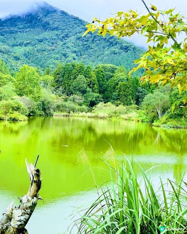 ## 向天湖飄雨別有一番風味🌧️