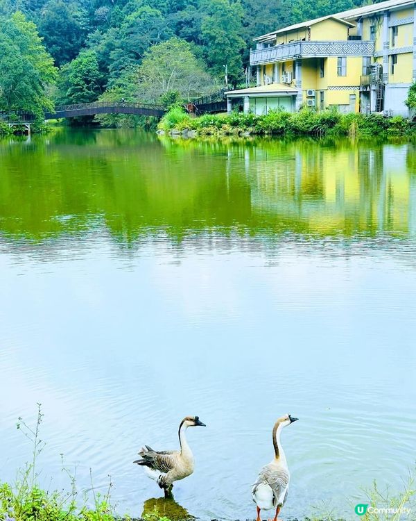 ## 向天湖飄雨別有一番風味🌧️
