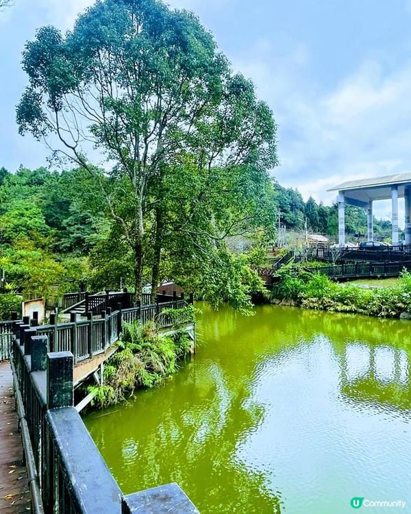 ## 向天湖飄雨別有一番風味🌧️