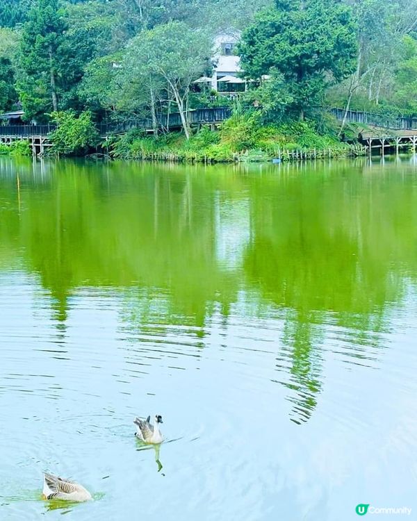 ## 向天湖飄雨別有一番風味🌧️