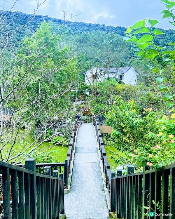 ## 向天湖飄雨別有一番風味🌧️