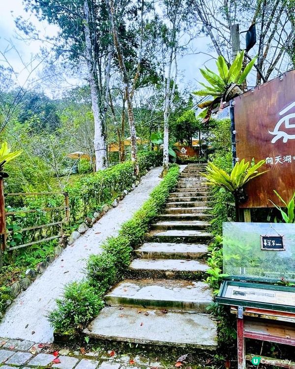 ## 向天湖飄雨別有一番風味🌧️