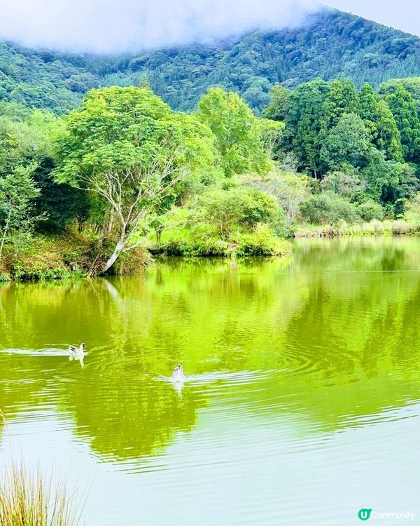 ## 向天湖飄雨別有一番風味🌧️