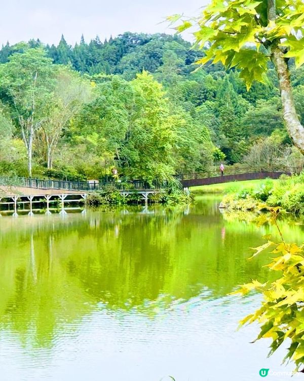 ## 向天湖飄雨別有一番風味🌧️