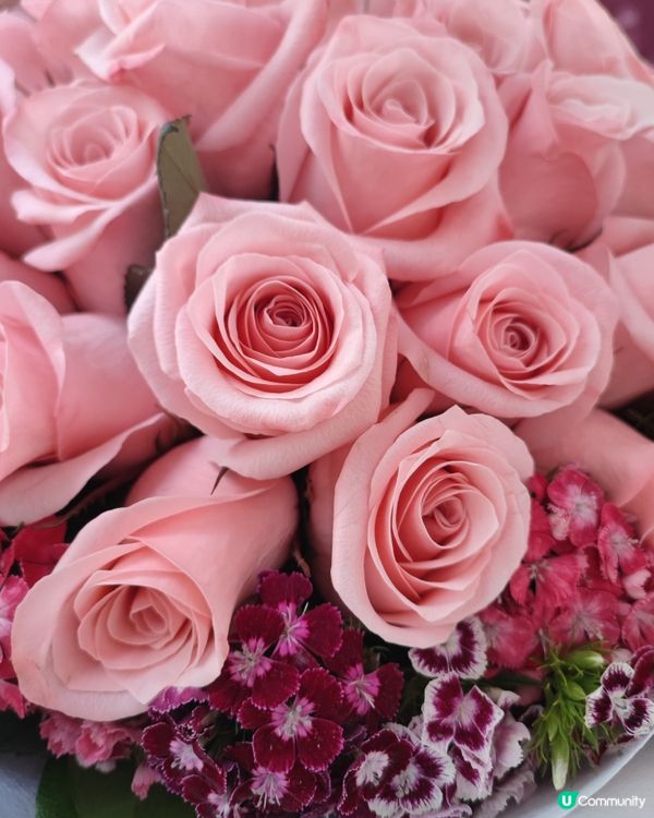 相愛是一種宿命(藍玫)(採用進口玫瑰)