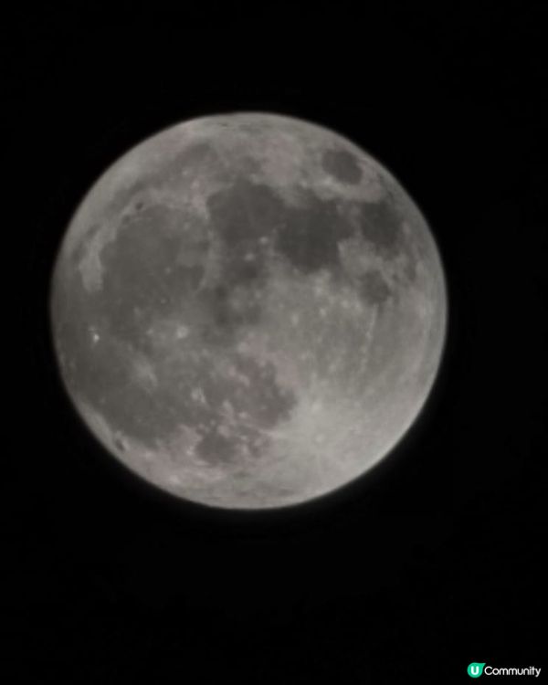 中秋月亮又大又圓