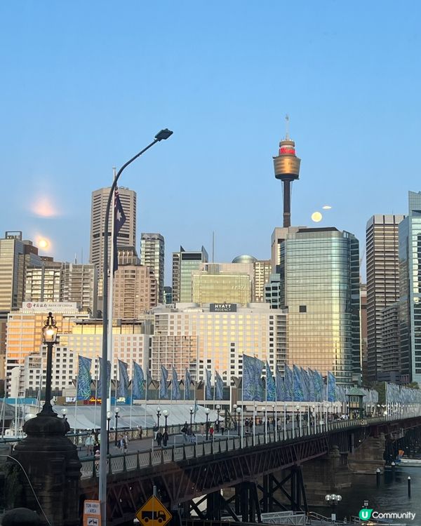 人氣滿分嘅法國餐廳🍴🐌蝸牛一流啊！