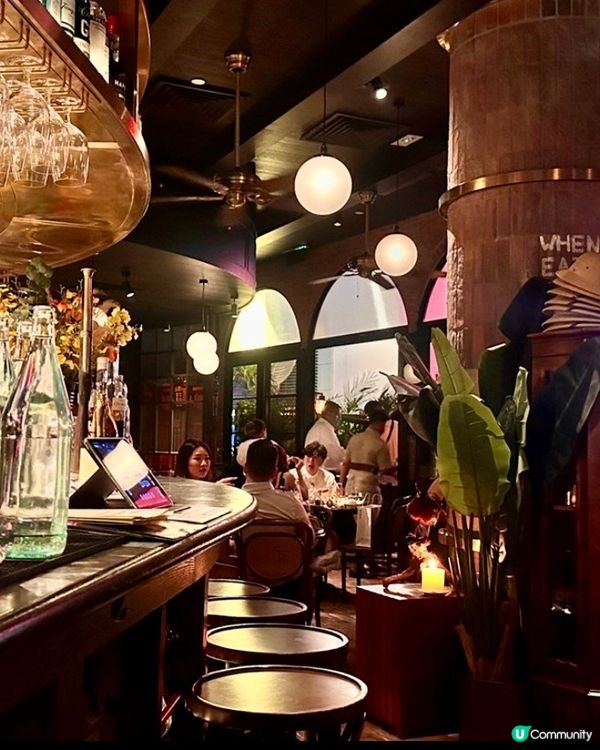 印度夢境，味蕾之旅 🇮🇳✨