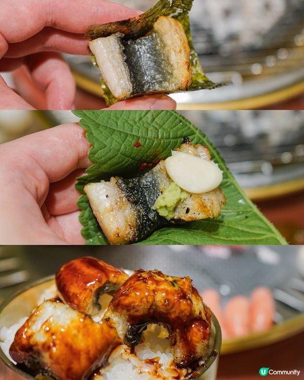 深圳炭燒活鰻魚更有性價比