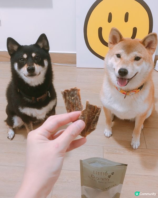 📎今次發達啦 我地做左廣告代言人