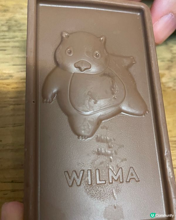 澳洲手信～超可愛袋熊朱古力