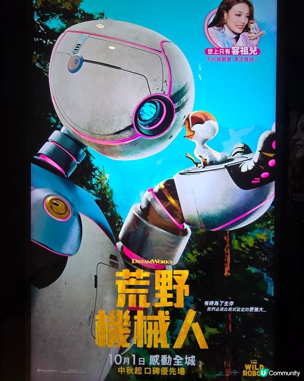 感動☺️搞笑😆 <荒野機械人>