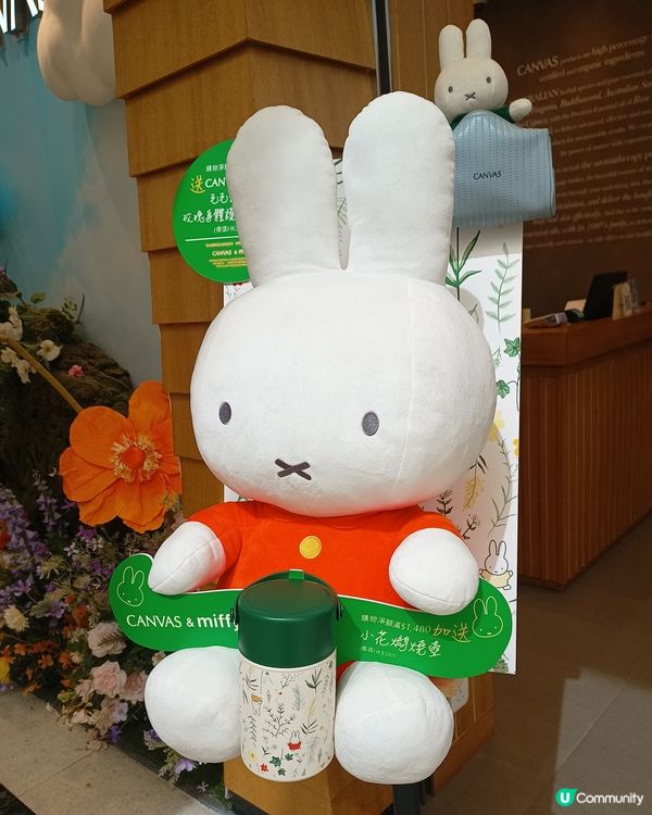 Miffy 兔兔🐇