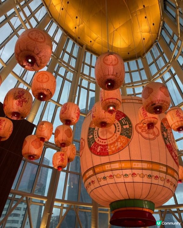 皮脆肉嫩既乳鴿「大鴿飯」🤩