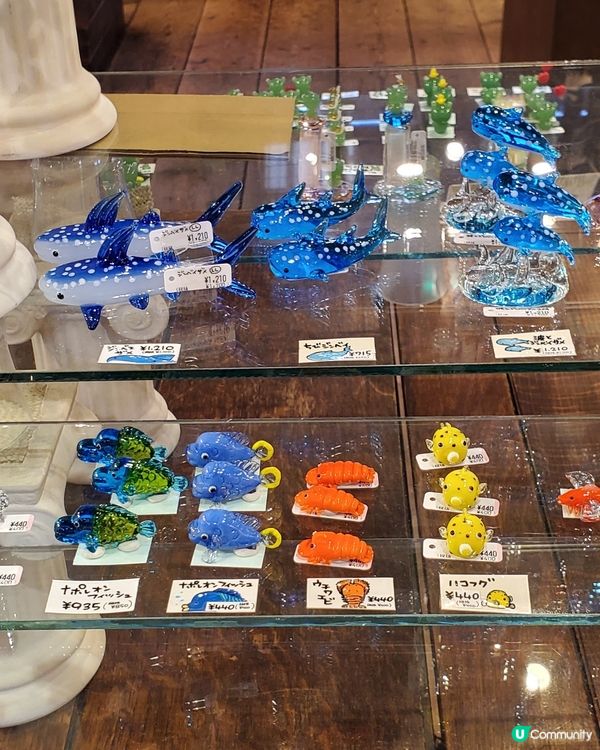 北海道必買手信 🎐硝子玻璃精品🎐