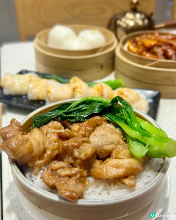 沙田廣場新開業 晚市嘆港式點心🥧♨️