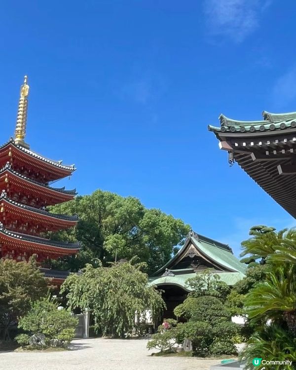 🇯🇵福岡超chill一日citywalk