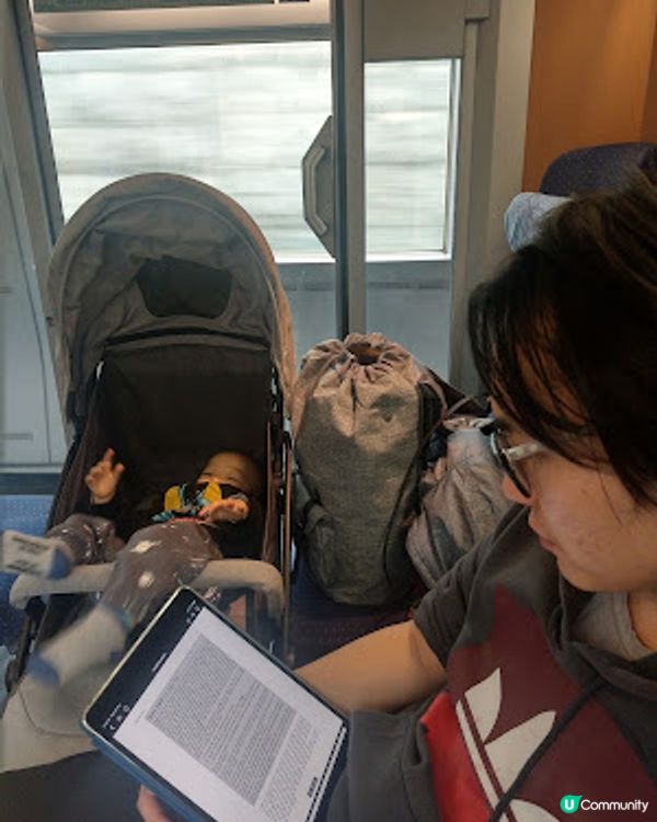 [德瑞法] 13個月嬰兒歐遊去: 瑞士坐火車到德國Freiburg - 黑森林所在地