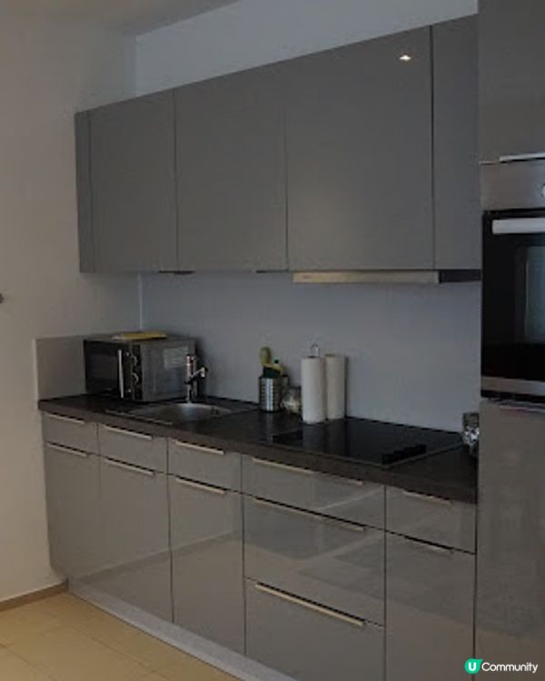 [德瑞法] 13個月嬰兒歐遊去: 瑞士坐火車到德國Freiburg - 黑森林所在地