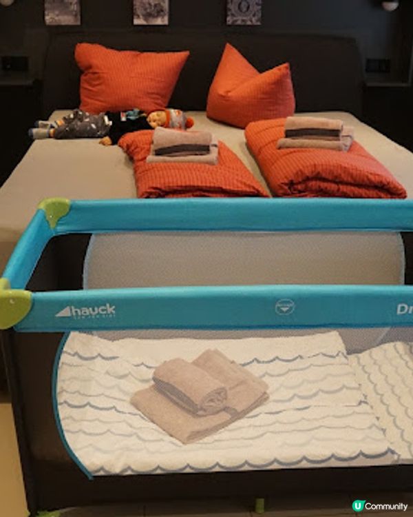 [德瑞法] 13個月嬰兒歐遊去: 瑞士坐火車到德國Freiburg - 黑森林所在地