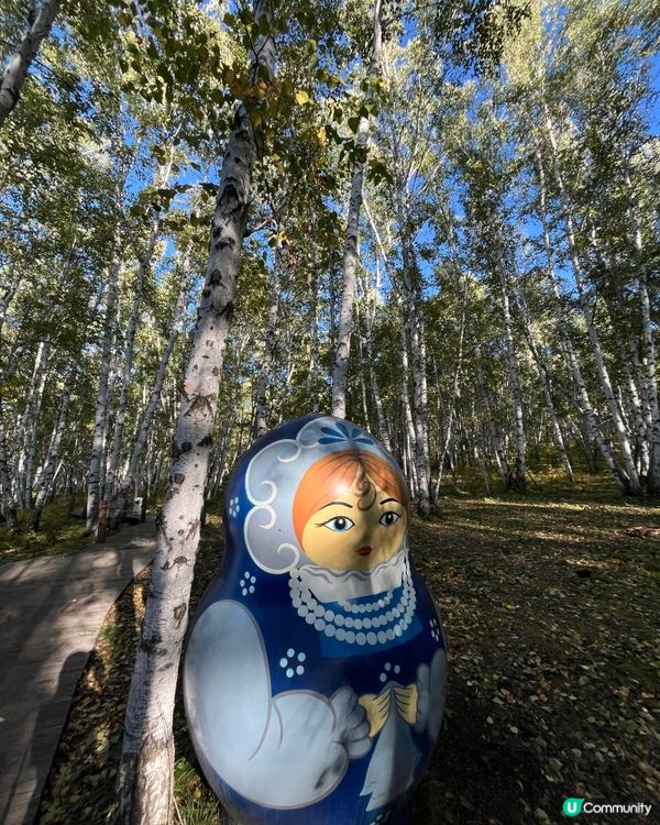 額爾古納白樺林 AAAA 級景區 #chill賞遊世界#好去...