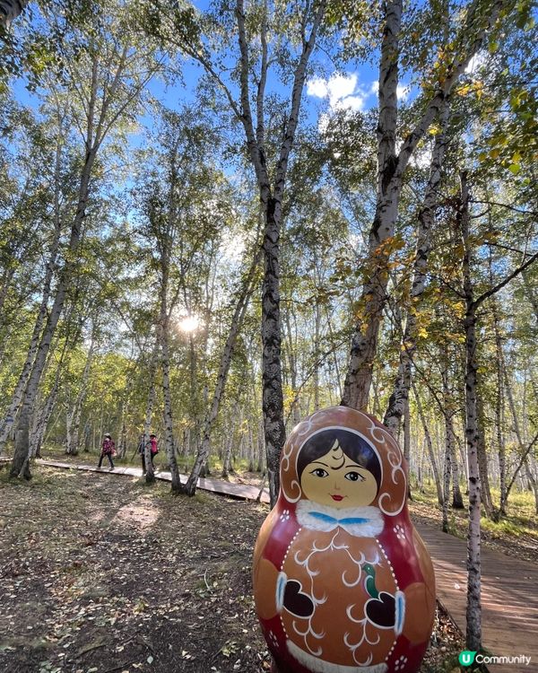 額爾古納白樺林 AAAA 級景區 #chill賞遊世界#好去...