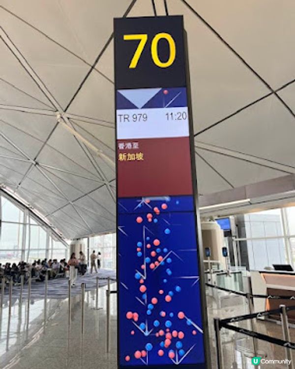 飛越南半球: 澳洲墨爾本之行(1)廉航Scoot體驗、Brighton彩虹之屋+Moonlit Sanctuary+Philip Island 一日遊