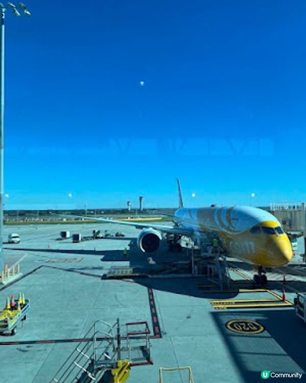 飛越南半球: 澳洲墨爾本之行(1)廉航Scoot體驗、Brighton彩虹之屋+Moonlit Sanctuary+Philip Island 一日遊