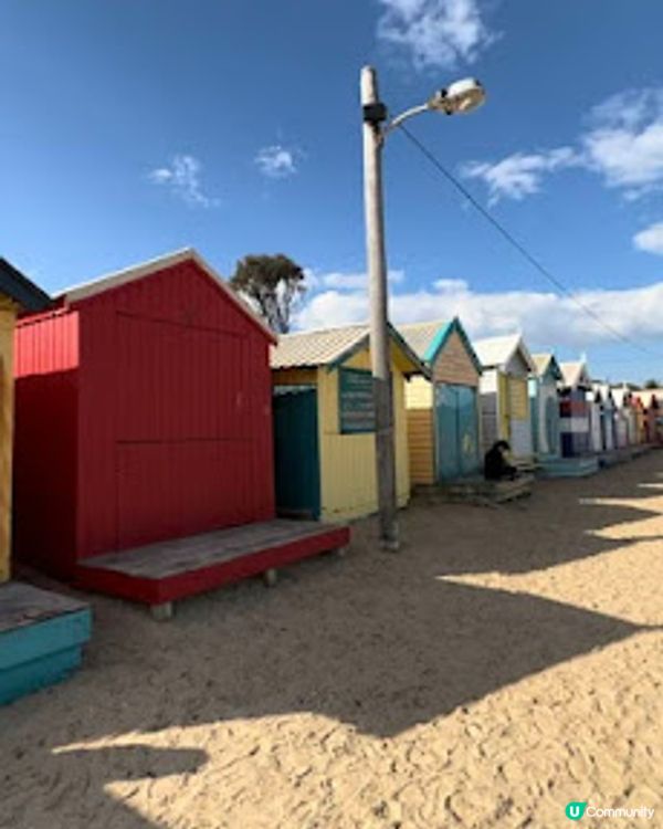 飛越南半球: 澳洲墨爾本之行(1)廉航Scoot體驗、Brighton彩虹之屋+Moonlit Sanctuary+Philip Island 一日遊