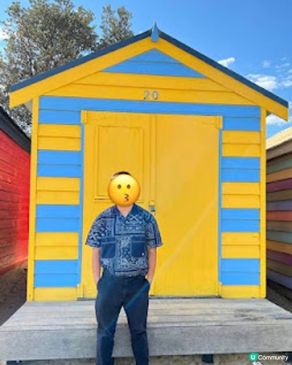 飛越南半球: 澳洲墨爾本之行(1)廉航Scoot體驗、Brighton彩虹之屋+Moonlit Sanctuary+Philip Island 一日遊