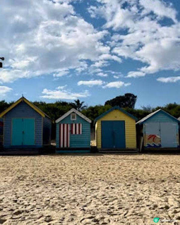 飛越南半球: 澳洲墨爾本之行(1)廉航Scoot體驗、Brighton彩虹之屋+Moonlit Sanctuary+Philip Island 一日遊