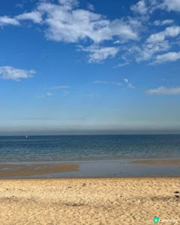 飛越南半球: 澳洲墨爾本之行(1)廉航Scoot體驗、Brighton彩虹之屋+Moonlit Sanctuary+Philip Island 一日遊