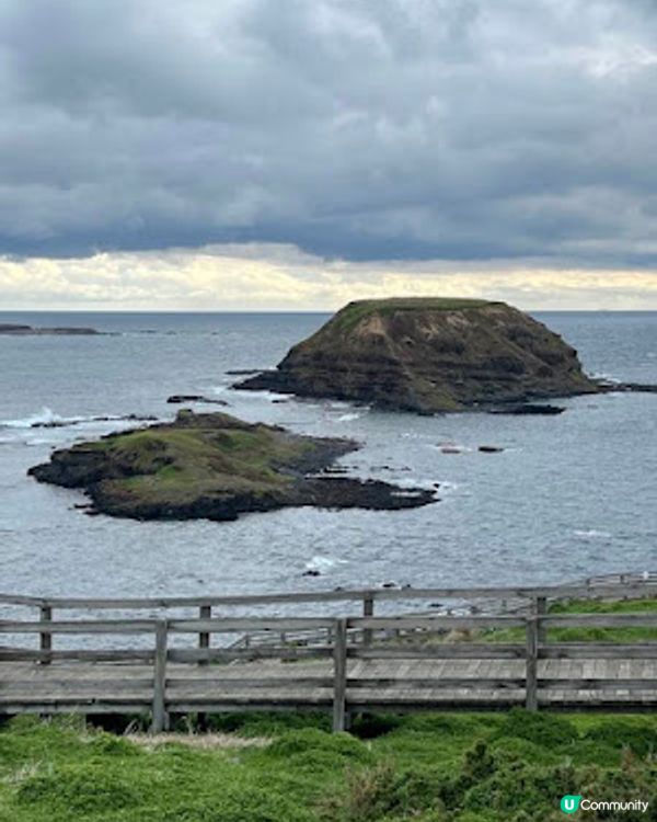 飛越南半球: 澳洲墨爾本之行(1)廉航Scoot體驗、Brighton彩虹之屋+Moonlit Sanctuary+Philip Island 一日遊