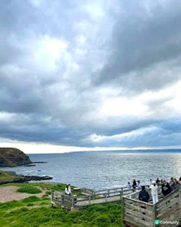 飛越南半球: 澳洲墨爾本之行(1)廉航Scoot體驗、Brighton彩虹之屋+Moonlit Sanctuary+Philip Island 一日遊