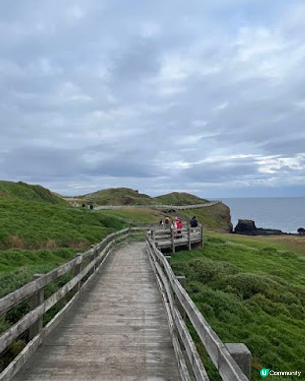 飛越南半球: 澳洲墨爾本之行(1)廉航Scoot體驗、Brighton彩虹之屋+Moonlit Sanctuary+Philip Island 一日遊