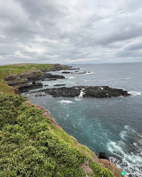 飛越南半球: 澳洲墨爾本之行(1)廉航Scoot體驗、Brighton彩虹之屋+Moonlit Sanctuary+Philip Island 一日遊