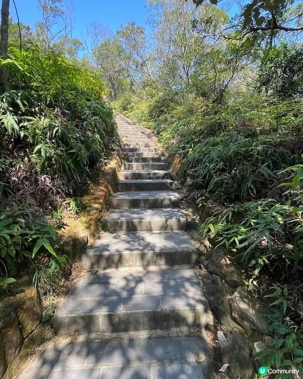 台灣登山記(2)軍艦岩親山步道