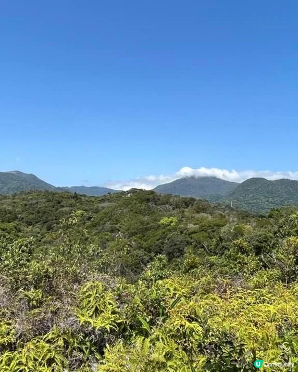 台灣登山記(2)軍艦岩親山步道