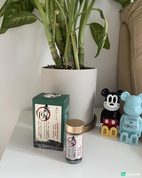 疫情增強免疫力～《蟲草19》改善睡眠質素